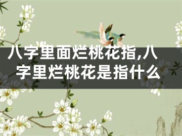 八字里面烂桃花指,八字里烂桃花是指什么
