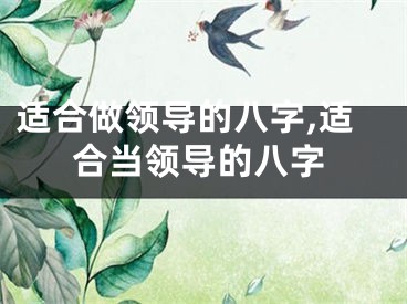 适合做领导的八字,适合当领导的八字