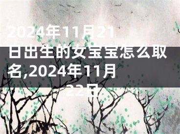 2024年11月21日出生的女宝宝怎么取名,2024年11月22日