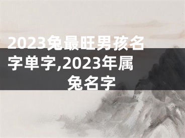 2023兔最旺男孩名字单字,2023年属兔名字