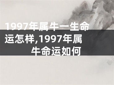 1997年属牛一生命运怎样,1997年属牛命运如何