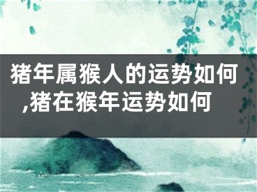 猪年属猴人的运势如何,猪在猴年运势如何
