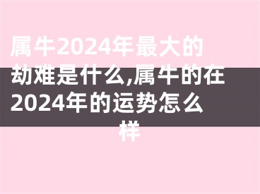 属牛2024年最大的劫难是什么,属牛的在2024年的运势怎么样