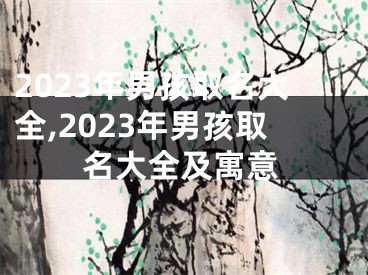 2023年男孩取名大全,2023年男孩取名大全及寓意