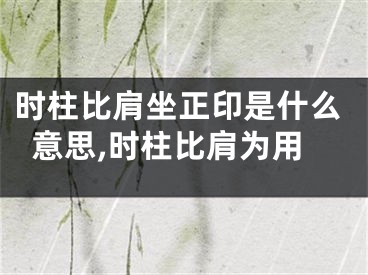 时柱比肩坐正印是什么意思,时柱比肩为用