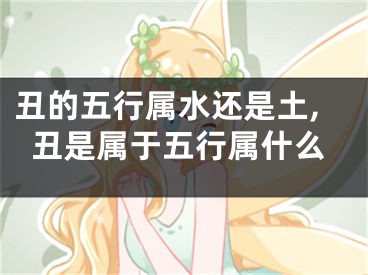 丑的五行属水还是土,丑是属于五行属什么