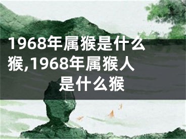 1968年属猴是什么猴,1968年属猴人是什么猴
