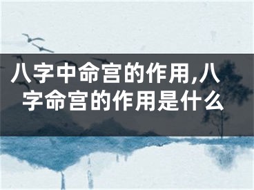 八字中命宫的作用,八字命宫的作用是什么