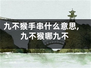 九不猴手串什么意思,九不猴哪九不