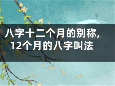 八字十二个月的别称,12个月的八字叫法