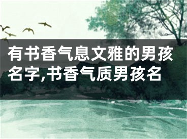 有书香气息文雅的男孩名字,书香气质男孩名