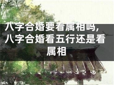 八字合婚要看属相吗,八字合婚看五行还是看属相