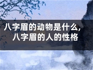 八字眉的动物是什么,八字眉的人的性格