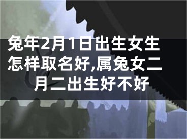 兔年2月1日出生女生怎样取名好,属兔女二月二出生好不好