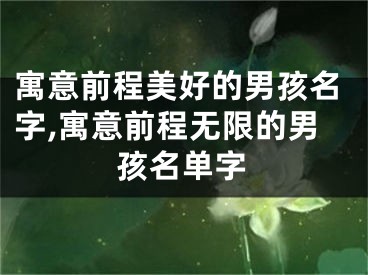 寓意前程美好的男孩名字,寓意前程无限的男孩名单字