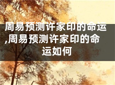 周易预测许家印的命运,周易预测许家印的命运如何
