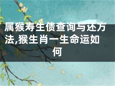 属猴寿生债查询与还方法,猴生肖一生命运如何