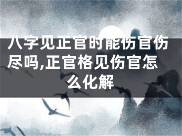八字见正官时能伤官伤尽吗,正官格见伤官怎么化解