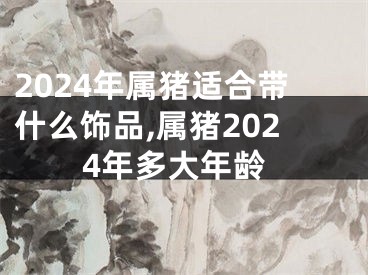 2024年属猪适合带什么饰品,属猪2024年多大年龄