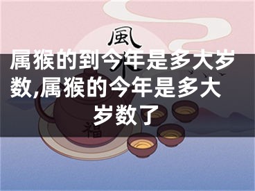 属猴的到今年是多大岁数,属猴的今年是多大岁数了