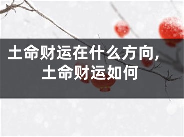 土命财运在什么方向,土命财运如何