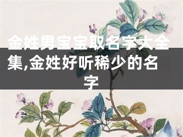 金姓男宝宝取名字大全集,金姓好听稀少的名字