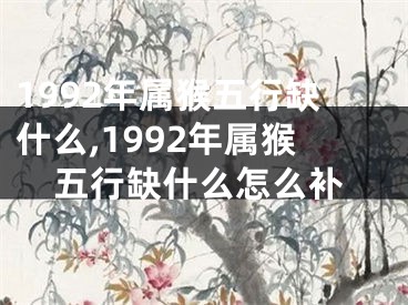 1992年属猴五行缺什么,1992年属猴五行缺什么怎么补