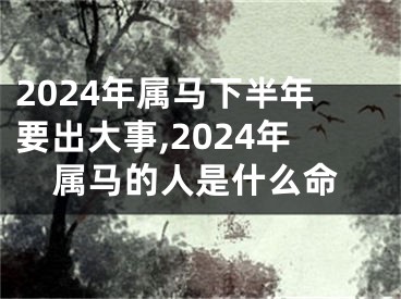 2024年属马下半年要出大事,2024年属马的人是什么命