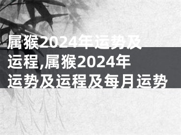 属猴2024年运势及运程,属猴2024年运势及运程及每月运势