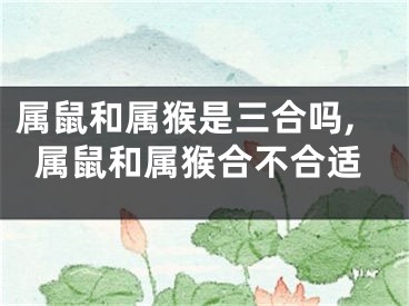 属鼠和属猴是三合吗,属鼠和属猴合不合适