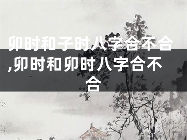 卯时和子时八字合不合,卯时和卯时八字合不合