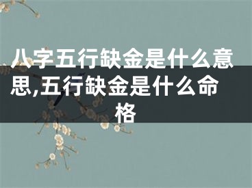 八字五行缺金是什么意思,五行缺金是什么命格