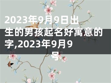 2023年9月9日出生的男孩起名好寓意的字,2023年9月9号