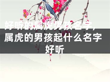 好听的属虎男孩名字,属虎的男孩起什么名字好听