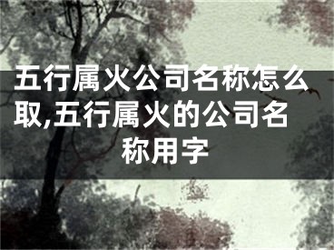 五行属火公司名称怎么取,五行属火的公司名称用字
