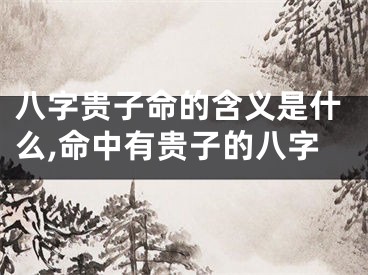 八字贵子命的含义是什么,命中有贵子的八字