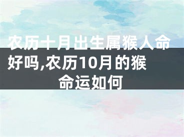 农历十月出生属猴人命好吗,农历10月的猴命运如何