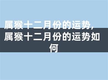 属猴十二月份的运势,属猴十二月份的运势如何