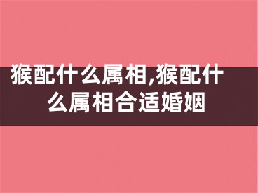 猴配什么属相,猴配什么属相合适婚姻