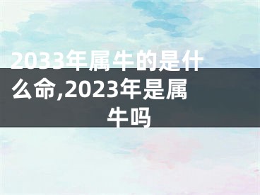 2033年属牛的是什么命,2023年是属牛吗