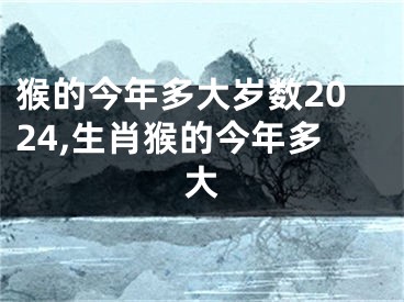 猴的今年多大岁数2024,生肖猴的今年多大