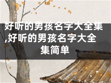 好听的男孩名字大全集,好听的男孩名字大全集简单