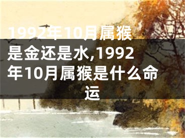 1992年10月属猴是金还是水,1992年10月属猴是什么命运