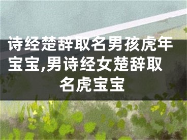 诗经楚辞取名男孩虎年宝宝,男诗经女楚辞取名虎宝宝