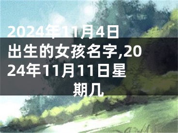 2024年11月4日出生的女孩名字,2024年11月11日星期几