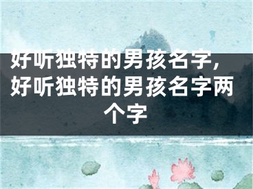 好听独特的男孩名字,好听独特的男孩名字两个字