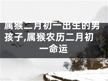 属猴二月初一出生的男孩子,属猴农历二月初一命运