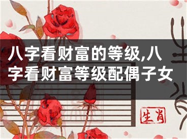 八字看财富的等级,八字看财富等级配偶子女