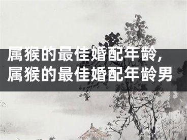 属猴的最佳婚配年龄,属猴的最佳婚配年龄男