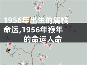 1956年出生的属猴命运,1956年猴年的命运人命